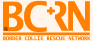 BORDER COLLIE RESCUE NETWORK（ボーダーコリーレスキューネットワーク）